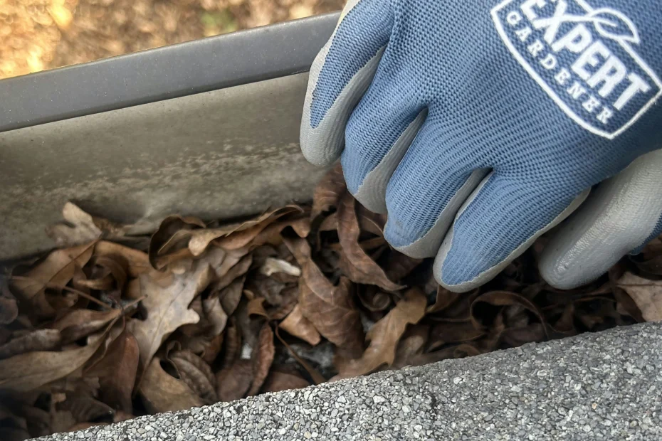 Gutter Cleaning Shively